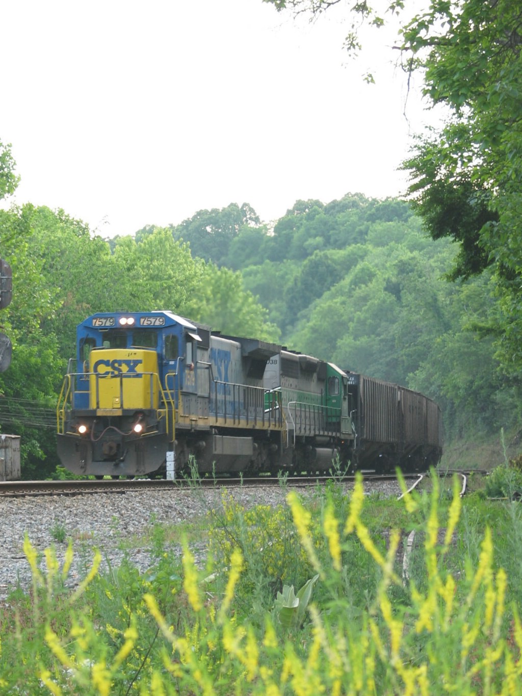 Springtime run in Va Mountains